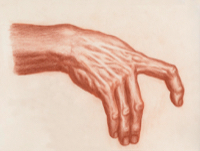 Human Hand 16 - Version 2